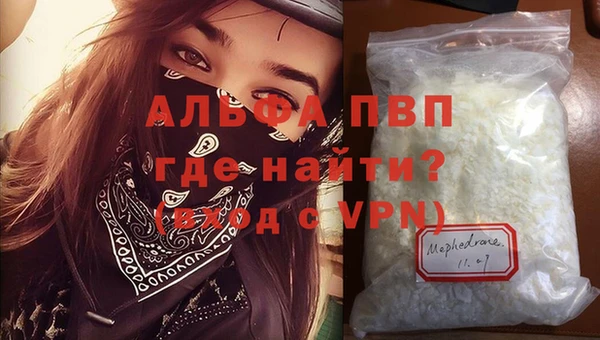 мяу мяу мука Ладушкин