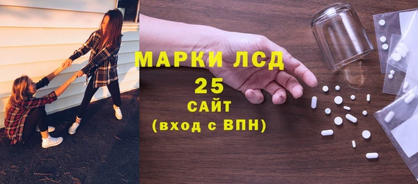 хмурый Лагань