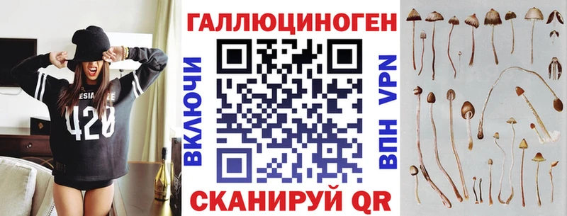 Псилоцибиновые грибы Psilocybine cubensis  Сусуман 