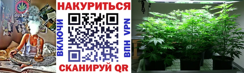 Канабис индика  где продают наркотики  Сусуман 
